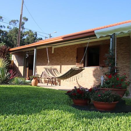 Casa Flor Da Laranjeira ξενώνας Ponte de Lima Εξωτερικό φωτογραφία
